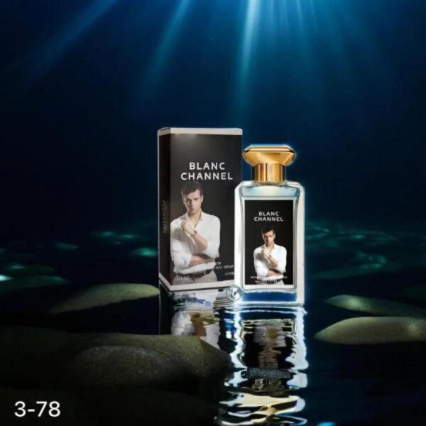 عطر ماركات 100مل BLANC CHANEL بلانك شانيل رقم 3-78