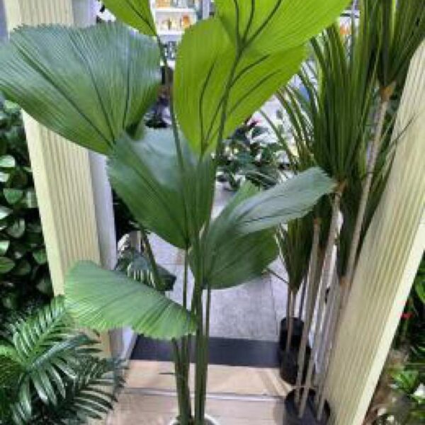 ورد زينة مع قوار رقم 139-65