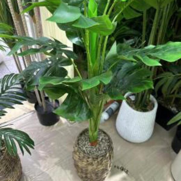 ورد زينة مع قوار رقم 139-69