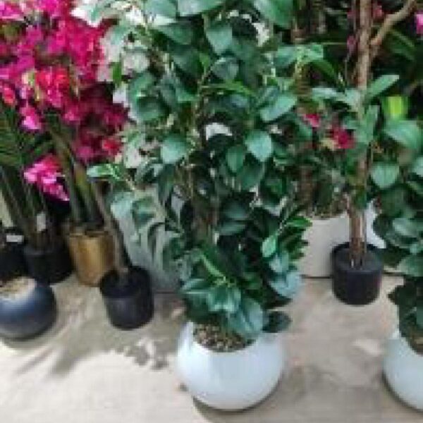 ورد زينة مع قوار رقم 139-71