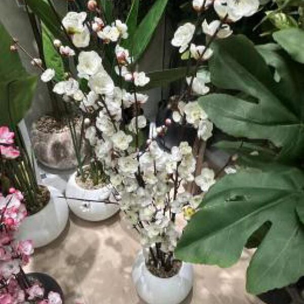 ورد زينة مع قوار رقم 139-74