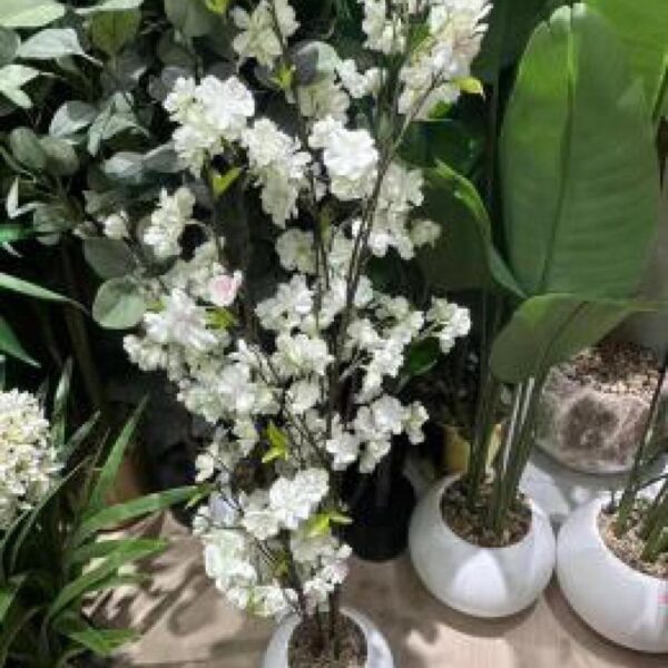 ورد زينة مع قوار رقم 139-76