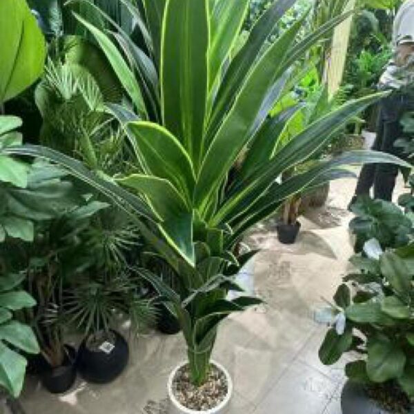 ورد زينة مع قوار رقم 139-78