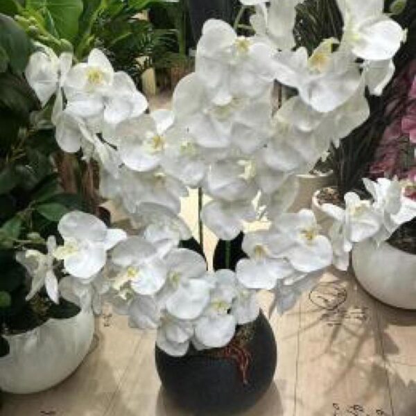 ورد زينة مع قوار رقم 139-80