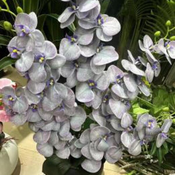 ورد زينة مع قوار رقم 139-81