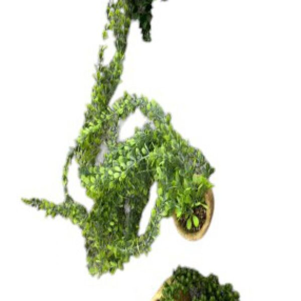 ورد زينة مع قوار رقم 139-87